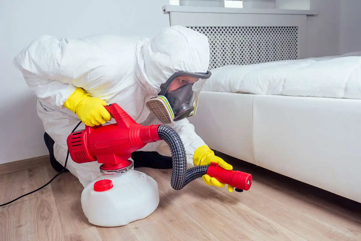 Bed bug control services in nepal_suraksha pest control